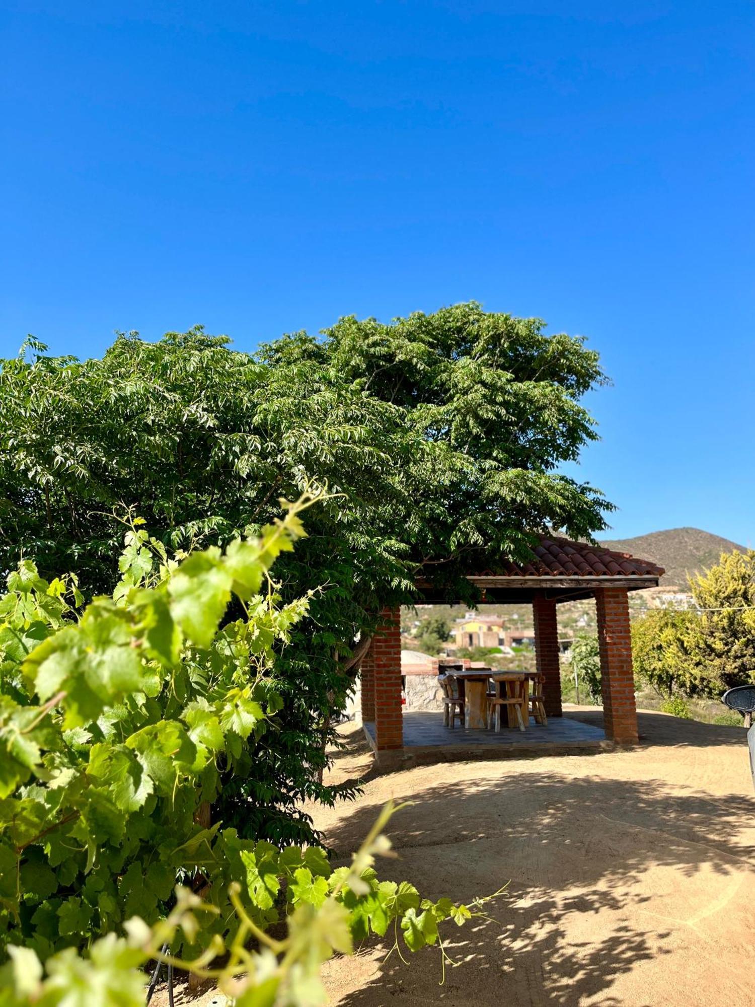 Cabanas Colibri Valle de Guadalupe Bagian luar foto