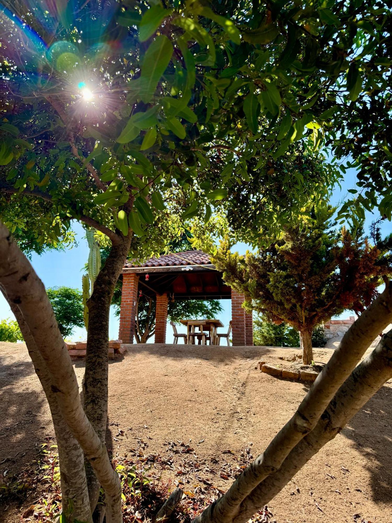 Cabanas Colibri Valle de Guadalupe Bagian luar foto